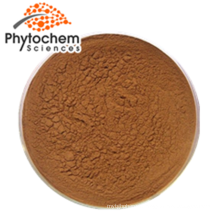 Market price good quality organic raw chaga mushroom extract powder 5% Polyphenols for sale